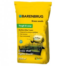 Gazon Barenbrug Resilient Blue Lawn Yellow Jacket, sac 5 kg Gazon Barenbrug Resilient Blue Lawn Yellow Jacket, sac 5 kg