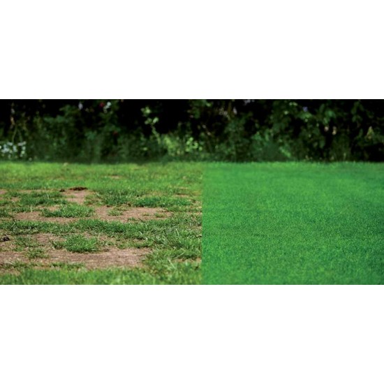 Gazon Grass Fix Turfline, sac 7,5 kg Gazon Grass Fix Turfline, sac 7,5 kg