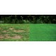 Gazon Grass Fix Turfline, sac 7,5 kg Gazon Grass Fix Turfline, sac 7,5 kg