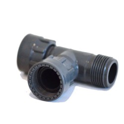 Teu cu olandez 1" Teu cu olandez 1"