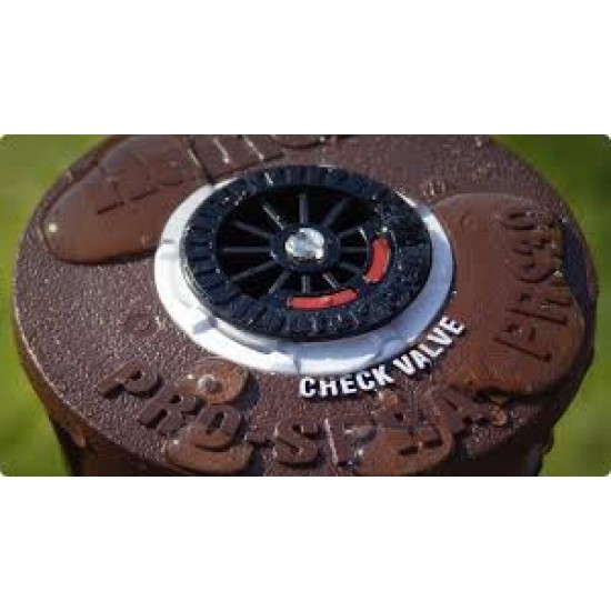 Aspersor spray Pros-04 cu supapă reținere și regulator presiune 2,1 bari, ridicare 10 cm Aspersor spray Pros-04 cu supapă reținere și regulator presiune 2,1 bari, ridicare 10 cm