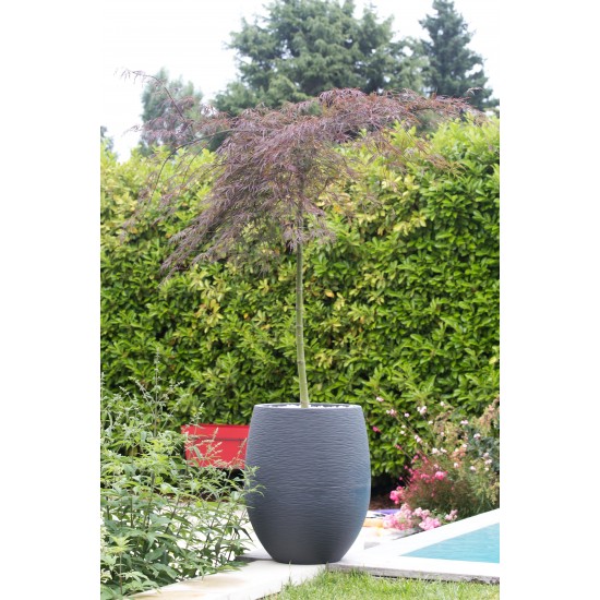 Ghiveci mare Egg antracit 50 x 60 cm GRAPHIT