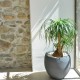 Ghiveci egg mare antracit 50x45 cm GRAPHIT