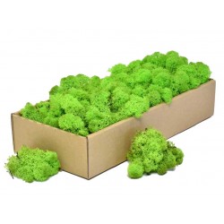 Licheni de Islanda 500g Licheni de Islanda 500g