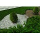 Kit bordură PP pentru pavaj  VERDE, L 1 m, H 58 mm, 4 buc, 12 ancore incluse